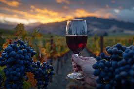 Vinho