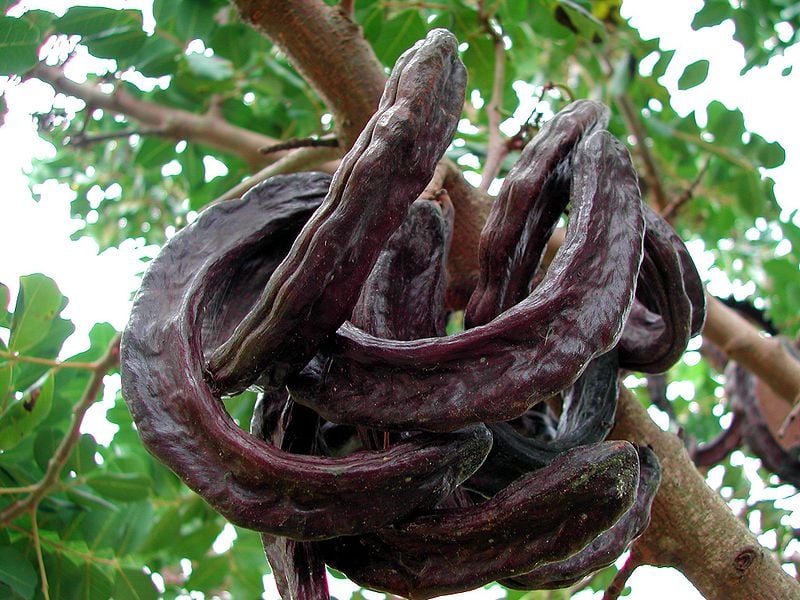 Alfarroba e Amêndoa